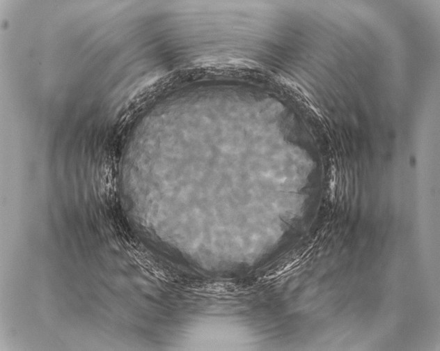 X0000086920966200705071324