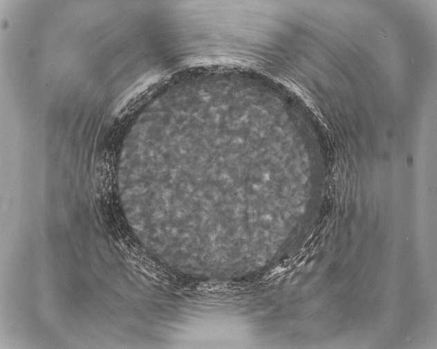 X0000086920967200705071324