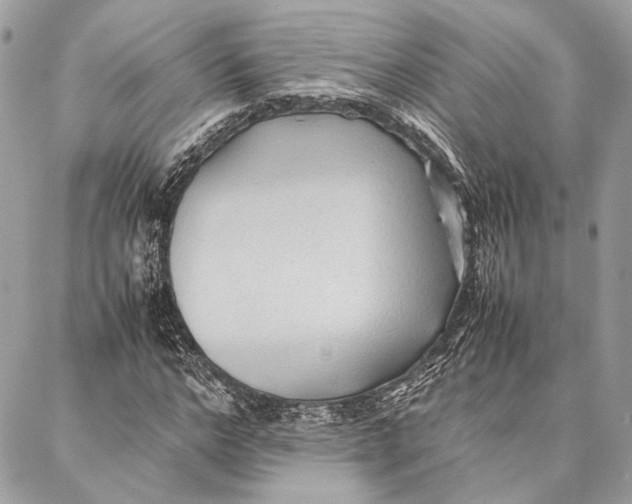 X0000086920968200705071324