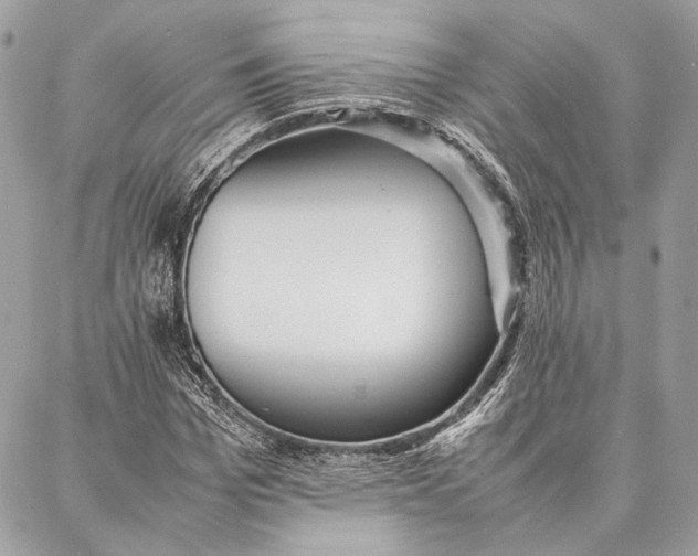 X0000086920969200705071324