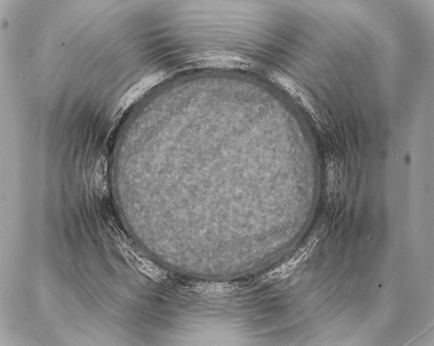 X0000086920970200705071324