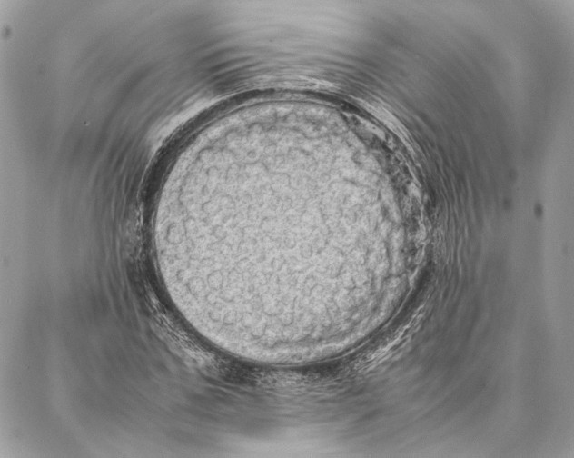 X0000086920971200705071324