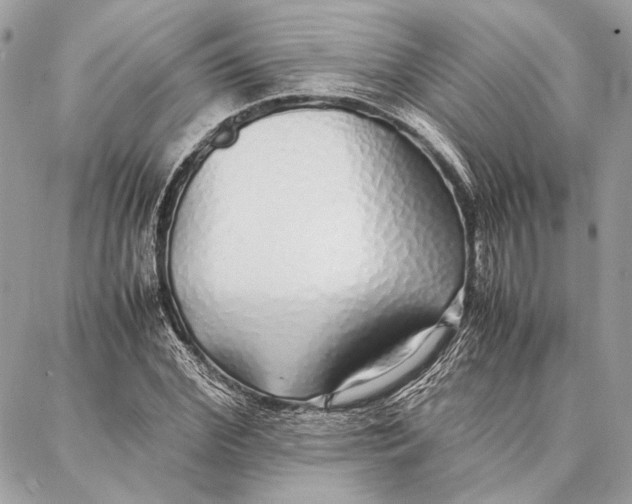 X0000086920972200705071324