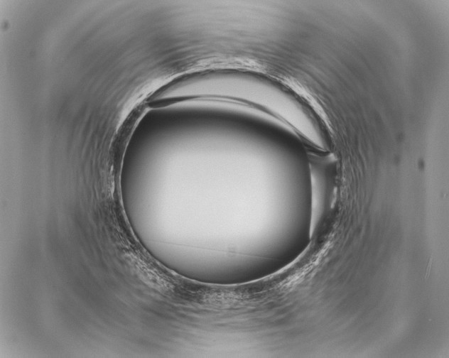 X0000086920973200705071324