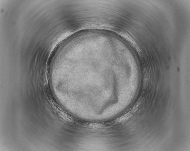 X0000086920974200705071324