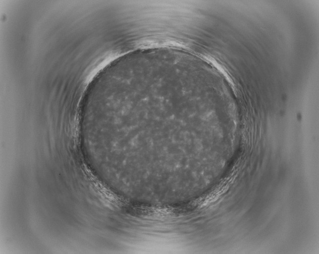 X0000086920975200705071324