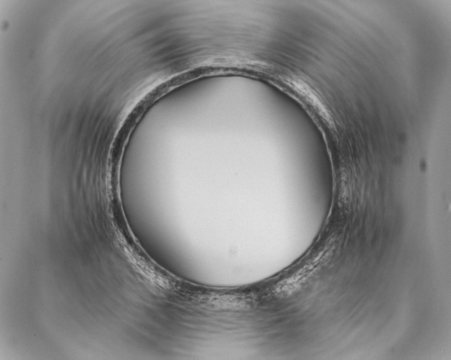 X0000086920976200705071324