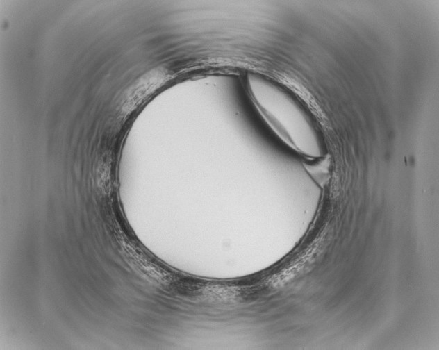 X0000086920977200705071324