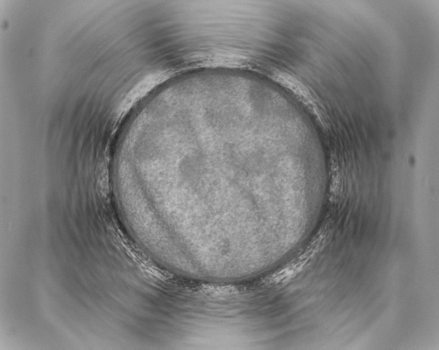 X0000086920978200705071324