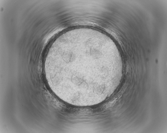 X0000086920979200705071324