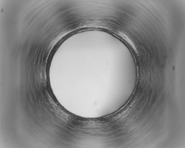 X0000086920980200705071324