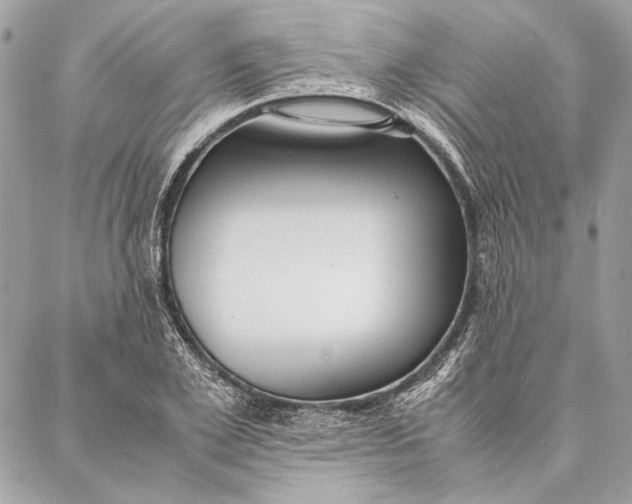 X0000086920981200705071324