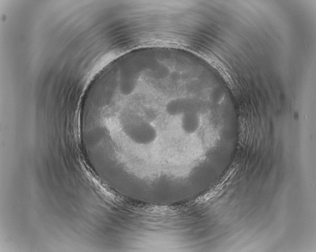 X0000086920982200705071324