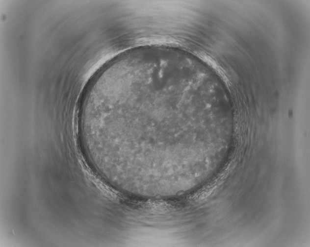 X0000086920983200705071324