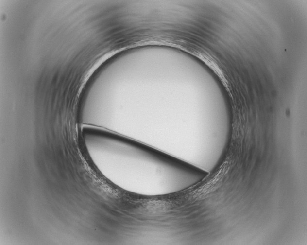 X0000086920984200705071324