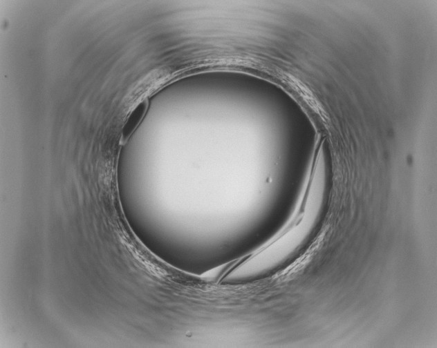 X0000086920985200705071323