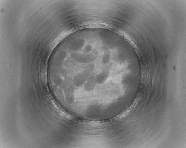 X0000086920986200705071323