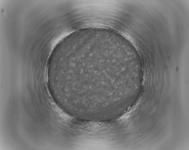 X0000086920987200705071323