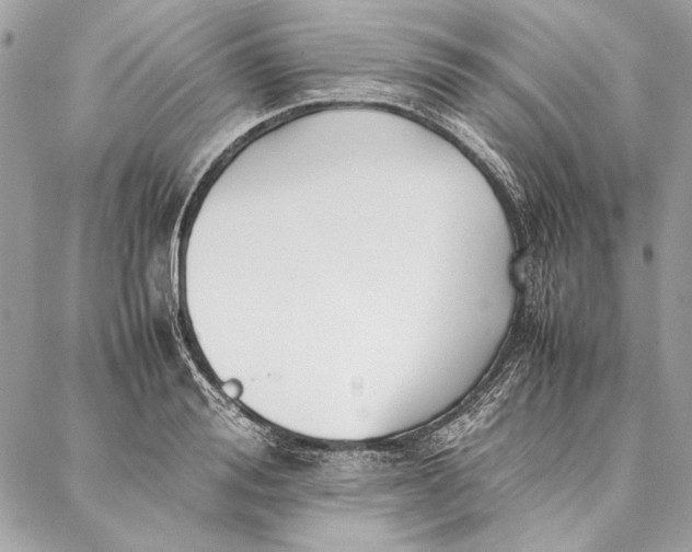 X0000086920988200705071323