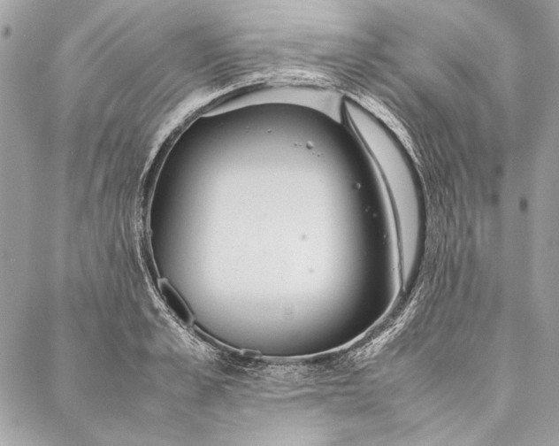 X0000086920989200705071323