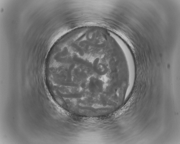 X0000086920991200705071323