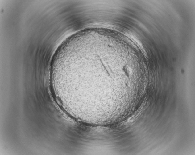 X0000086920992200705071323