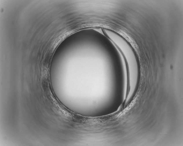 X0000086920993200705071323