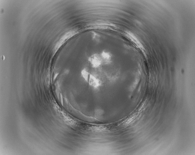 X0000086920994200705071323