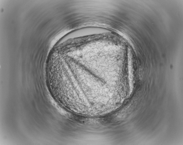 X0000086920995200705071323