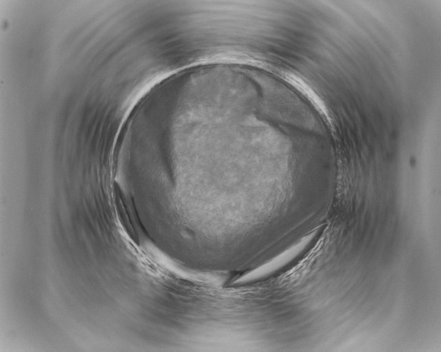 X0000086920996200705071323