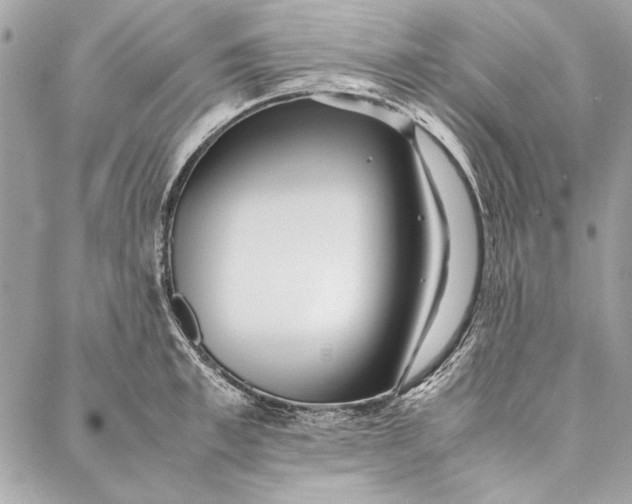 X0000086920997200705071323