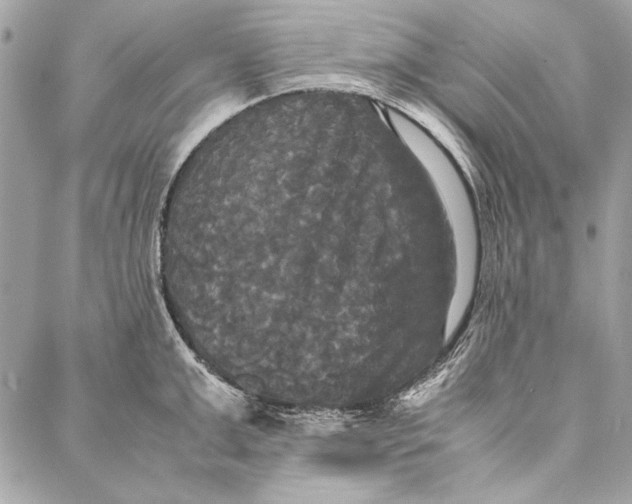 X0000086920999200705071323