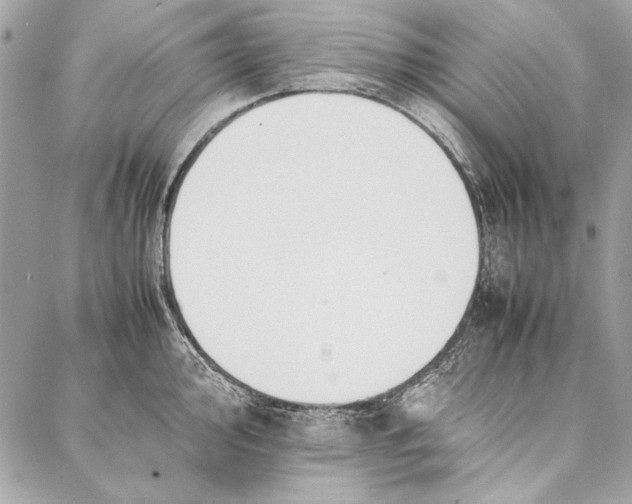 X0000086921000200705071323