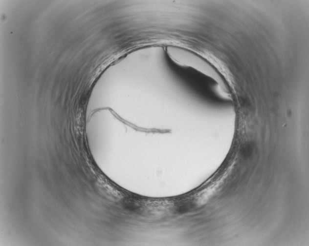 X0000086921001200705071323