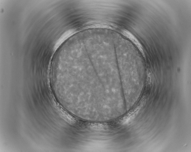 X0000086921002200705071323