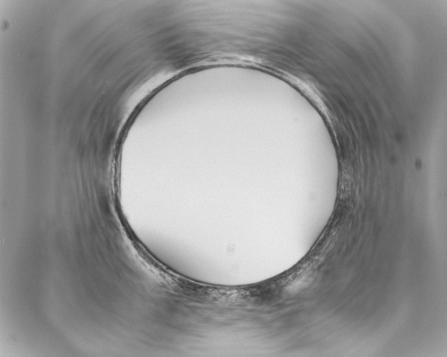 X0000086921003200705071323