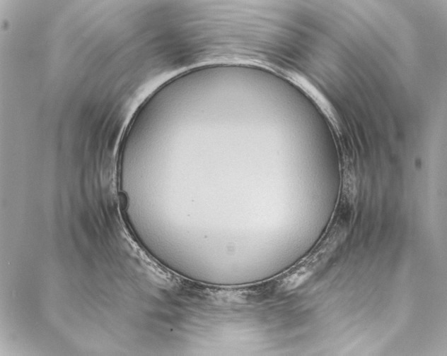 X0000086921004200705071323