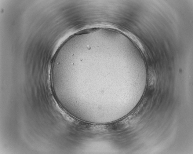 X0000086921006200705071323