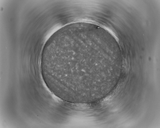 X0000086921007200705071323