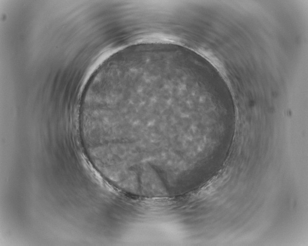 X0000086921008200705071323