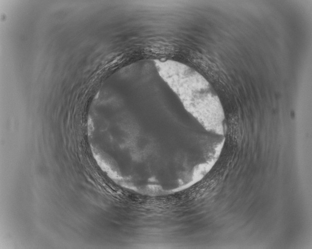 X0000086921009200705071322