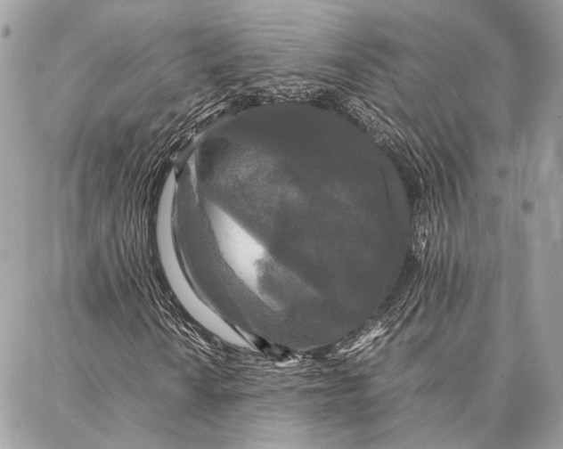 X0000086921010200705071322