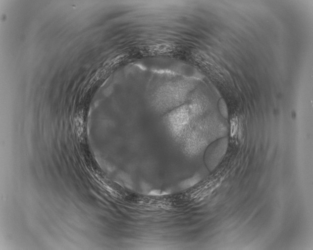 X0000086921011200705071322