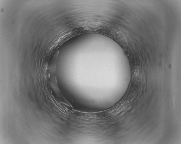 X0000086921012200705071322