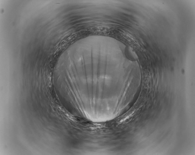 X0000086921013200705071322