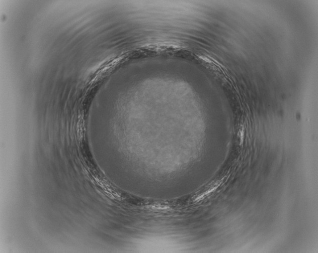 X0000086921014200705071322