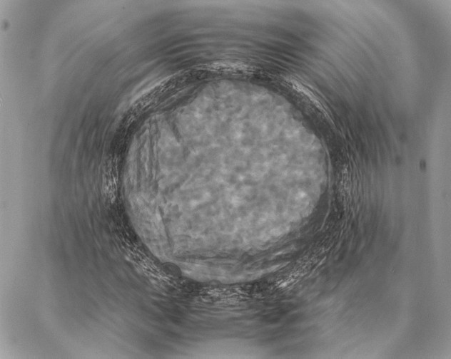 X0000086921015200705071322