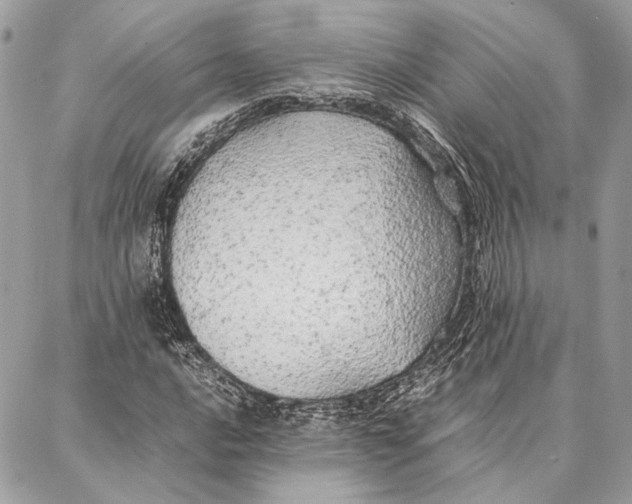 X0000086921016200705071322