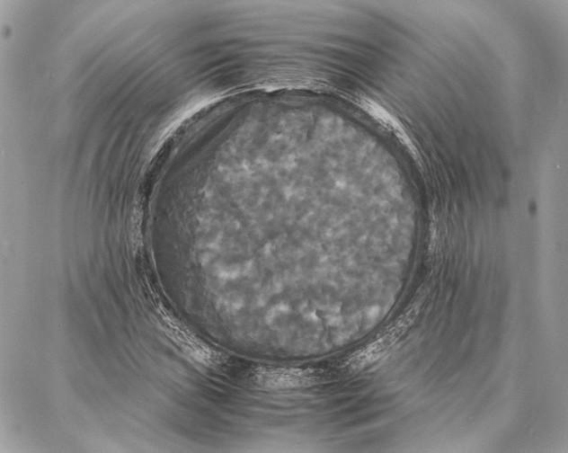 X0000086921019200705071322