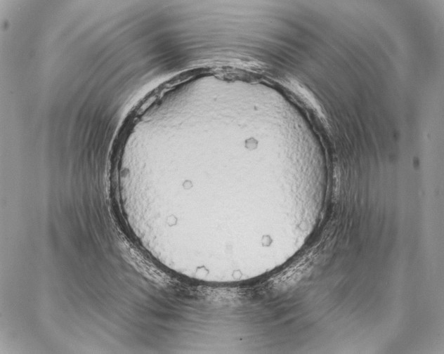 X0000086921020200705071323